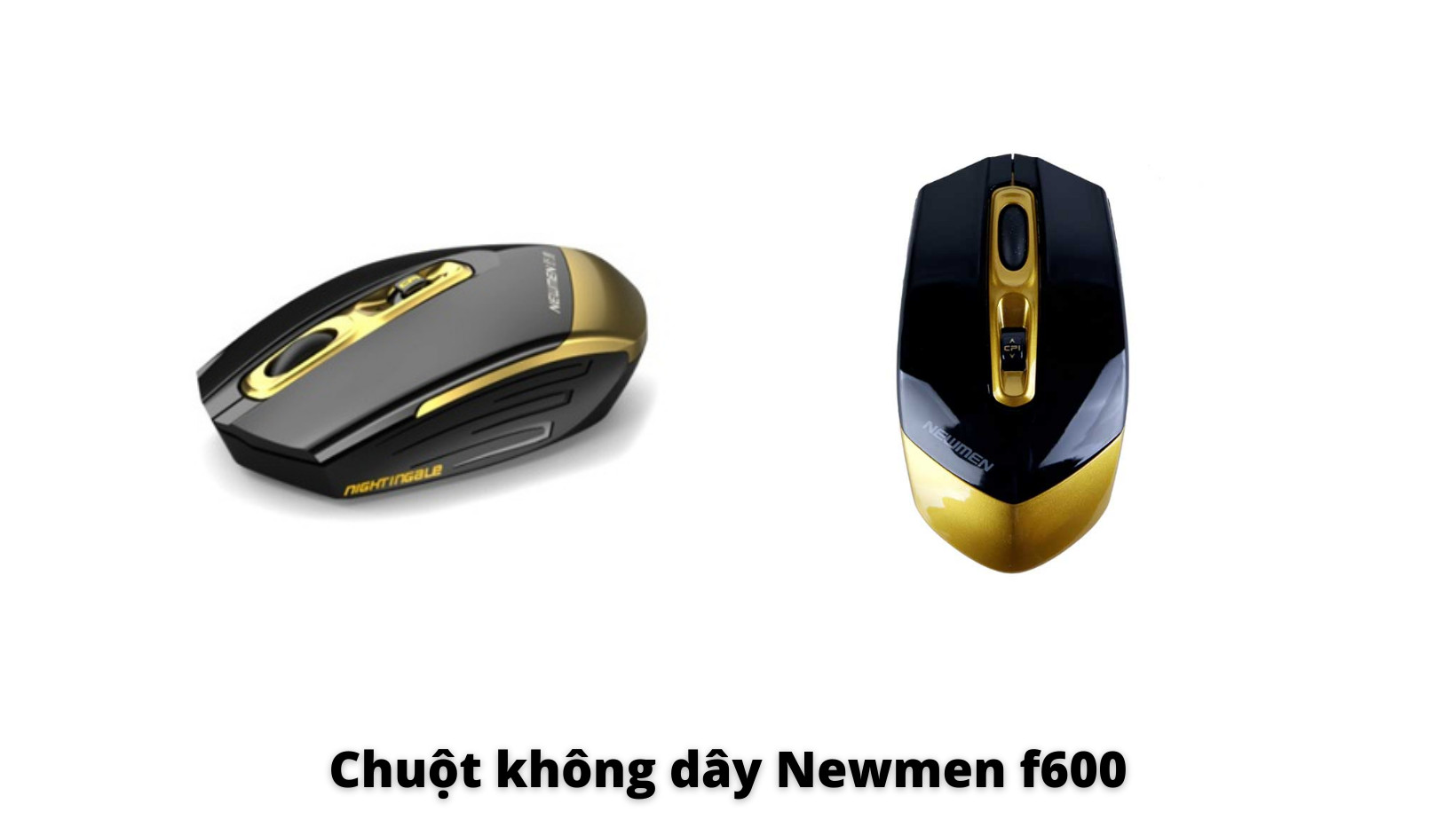 Chuột không dây Newmen F600