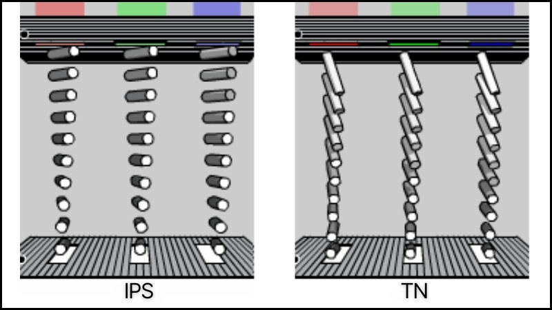 Cấu tạo màn IPS và TN