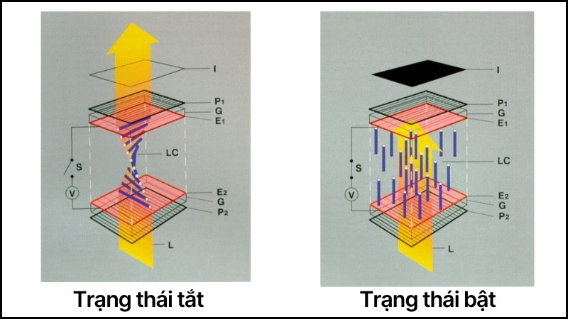 Nguyên lý hoạt động của màn hình TN