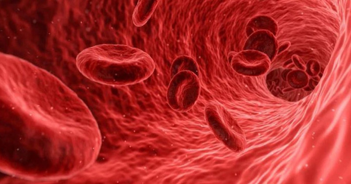 Ghế Công thái học hỗ trợ cơ thể và cải thiện quá trình lưu thông máu 